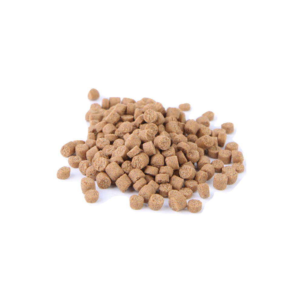 Bits Canela / Inclusiones Canela